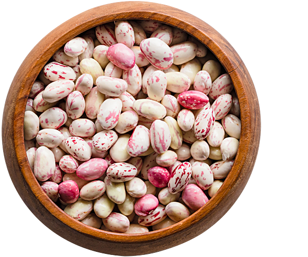 Fagioli Borlotti